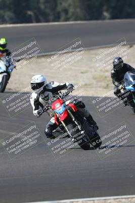 media/Sep-20-2025-TrackDaz (Sat) [[27f0cde673]]/B Group/1020am (Turn 3)/